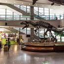 서대문자연사박물관(11월~2월) 이미지