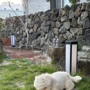 제주도게스트하우스 함덕주택 이미지