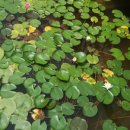 무인텔 휴 이미지