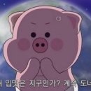 밀양상회 이미지