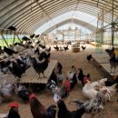 수겸농장 이미지