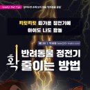 분당우리동물의료센터 이미지