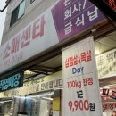 레드피그 이미지