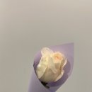 지예민박 이미지