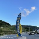 송정솔바람야영장 티스토리
