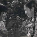 소나기 - 진주시 대신로 289-1 | 소나기