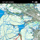 늑대와 여우 이미지