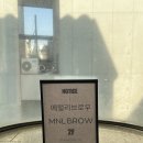 늘봄브로우