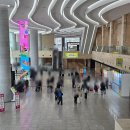 수원컨벤션센터 | 수원 컨벤션센터 볼거리 2026 수원 메가쇼 첫날 방문 후기