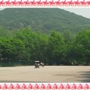 지구공인중개사사무소 이미지