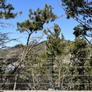 무이림3 이미지