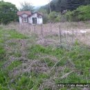 개울가 펜션 이미지