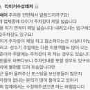 타이거 수상레저