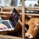 이수병원 이미지