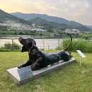 동심공인중개사사무소 이미지