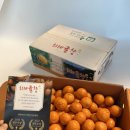 대저토마토산지유통센터 | 새벽달콤.1.30.타이벡의 끝_하우스비가림 시작