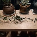 증산-012 이미지