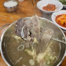 금농