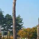 김만두씨 이미지
