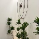 플라스틱성형외과의원 이미지