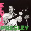 Heartbreak Hotel / Elvis Presley 이미지