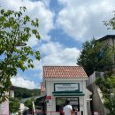 경기도 용인 근처 가볼만한 곳 : 자작나무 숲 힐링 데이트
