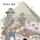 펌: [장도리] 인디아나 특검, 펌)박장범이 정동영한테?쪽을 당했군요, 펌)검찰 개혁은 해체가 먼저고 해체를 못 박고 시작하는겁니다 이미지