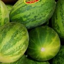 대구청과시장 이미지