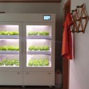 볼눈경로당 이미지