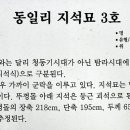 동일리 지석묘 2호 이미지