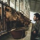 형제목장2 이미지