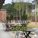 씨유 강릉녹색도시점 | 강릉 포남동 대형 베이커리 애견 동반 카페 '디오슬로'