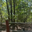 산골짜기쌈밥마을 이미지