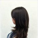 생활 헤어 컷트 이미지