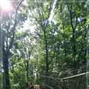 내곡동434 이미지