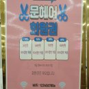 문헤어 이미지