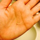 엑소메디의원 | [아더마] 보습크림 추천 ;엑소메가 로션&amp;클렌징젤