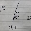 육주