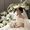 그래머시 코엑스 그랜드볼룸 620명 본식 후기👰🏻🤵🏻🩶｜대형 예식 현실적으로 느낀 점