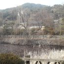 강원봉의산닭갈비