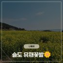 슬도아트 전시 [Secret Garden] | 2026🌼노란 봄, 한움큼 '슬도' 유채꽃 향기에 머물다.💛