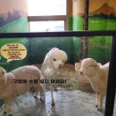 수달앤쥬 이미지