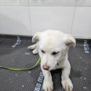 고산119안전센터 이미지