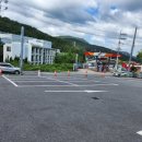 빵플러스 | 김해 아덴 플러스 가야점 후기 🌿 빵·음료·정원 모두 완벽한 애견 동반 카페