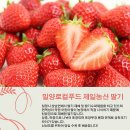 제일농산 이미지
