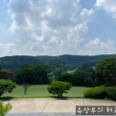 진양통상(주)