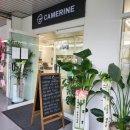 동성카프라자 이미지