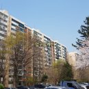 압구정-105 이미지