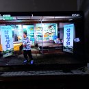 삼일1리 Daum카페