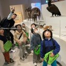 민들레 태권도장 이미지